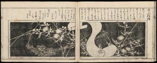 Volume II, Page 14