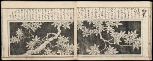 Volume III, Page 8