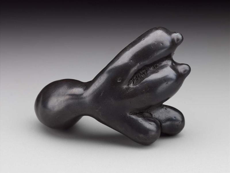 Paw