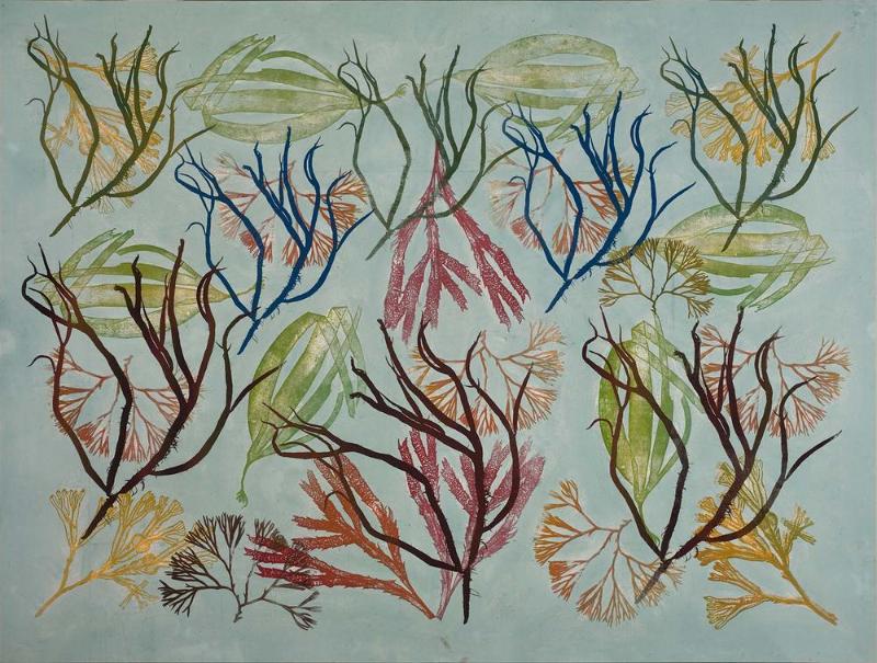 Composition with Seaweed