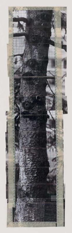 Maquette for Endurer (Tree Number Four)