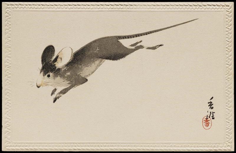 Mouse