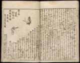 Volume I, Page 6