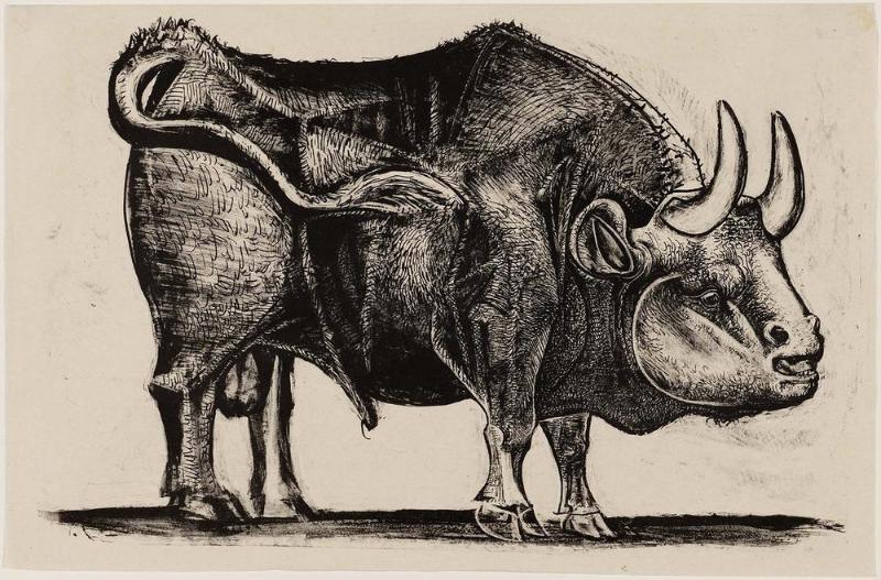The Bull